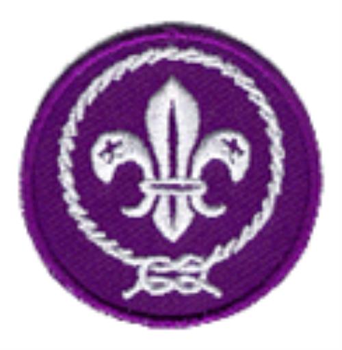 world scouting